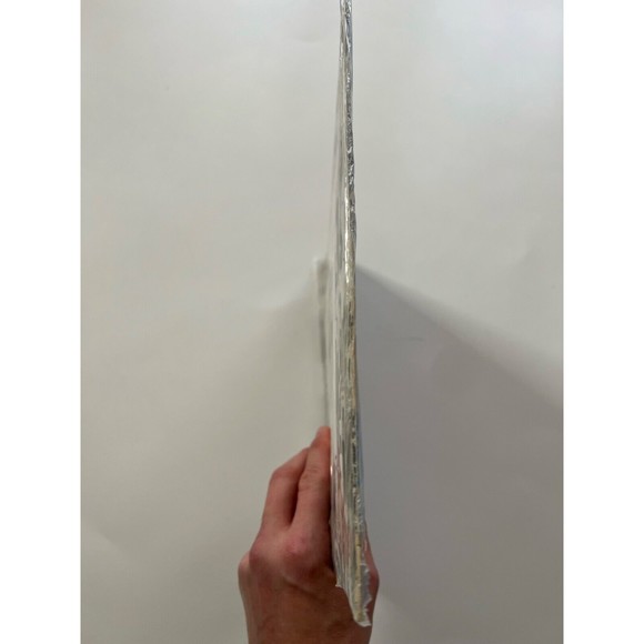 Yin Carrizo Y Su Conjunto Cantan Yin Carrizo Y Catita LP Tamayo 143 Panama VG+ - Picture 3 of 7